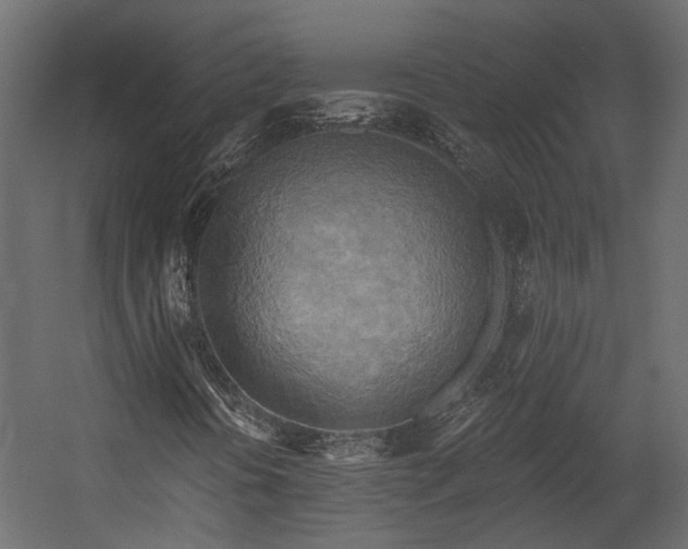 X0000058801394200510031307