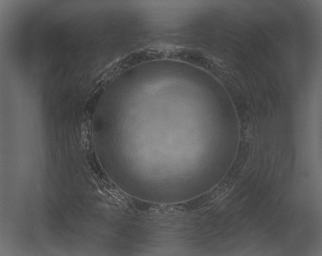 X0000058801397200510031307