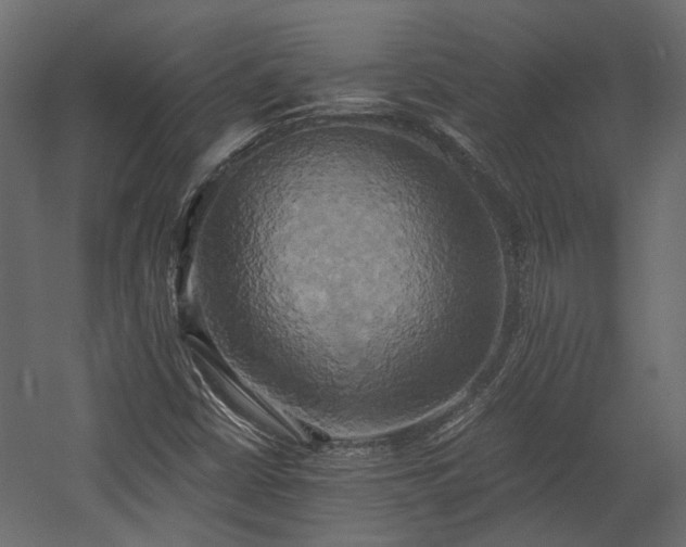 X0000058801402200510031307