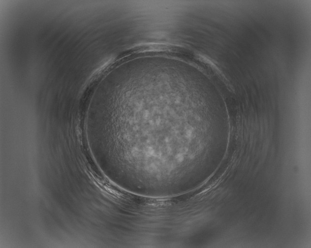 X0000058801403200510031308