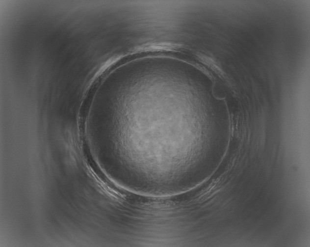 X0000058801404200510031308