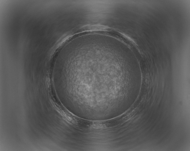 X0000058801407200510031308