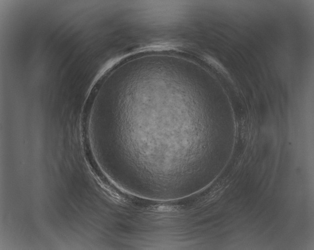 X0000058801412200510031308