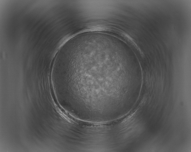 X0000058801417200510031308