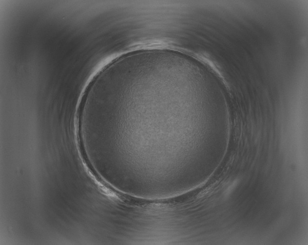 X0000058801424200510031308