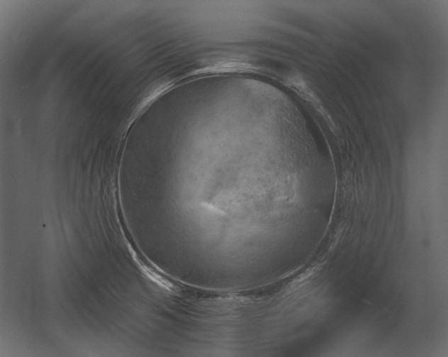 X0000058801425200510031308