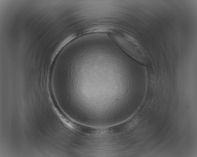 X0000058801426200510031308