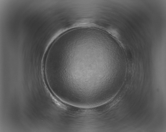 X0000058801430200510031308