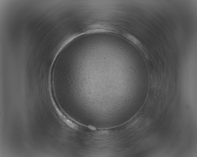 X0000058801431200510031308