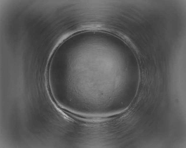 X0000058801432200510031308