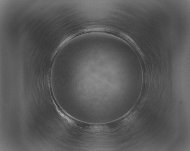 X0000058801433200510031308