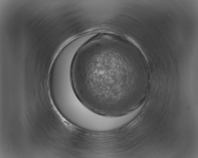 X0000058801434200510031308