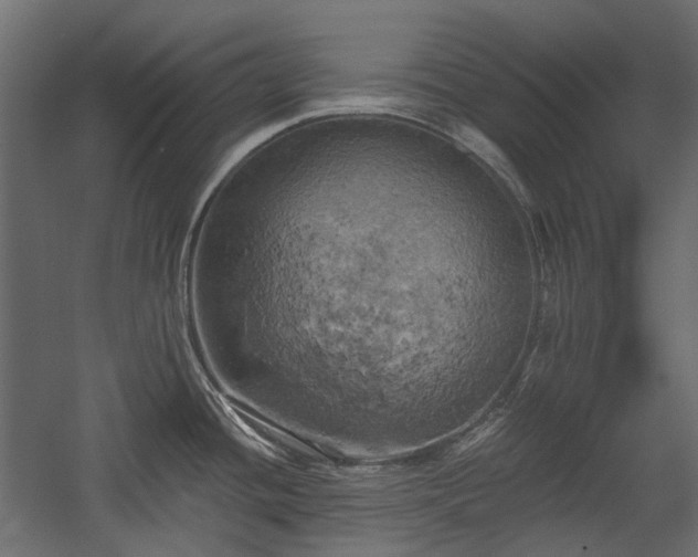 X0000058801436200510031308