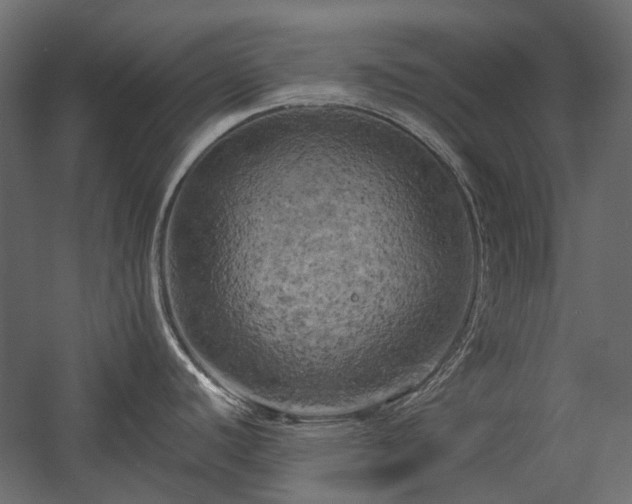 X0000058801440200510031308