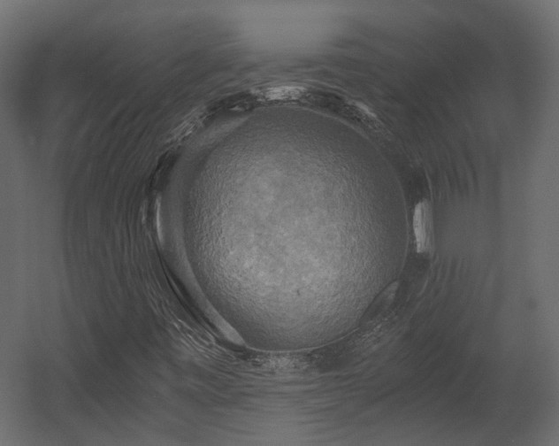 X0000058801443200510031307