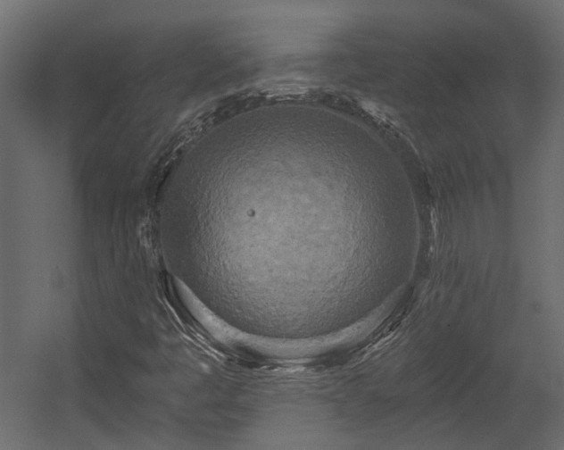 X0000058801445200510031307