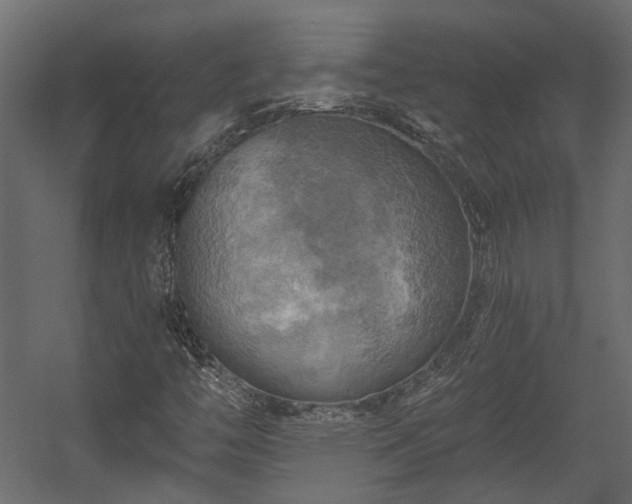 X0000058801446200510031307