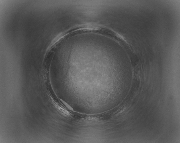 X0000058801448200510031307