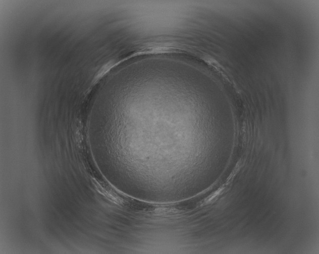 X0000058801449200510031307