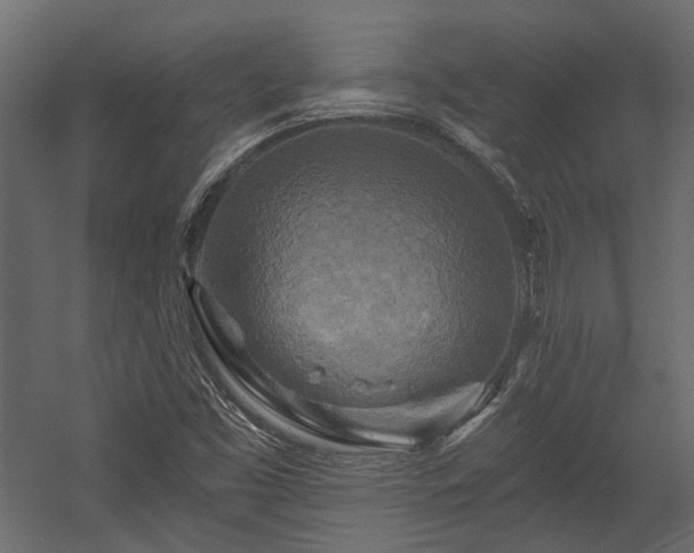X0000058801453200510031307