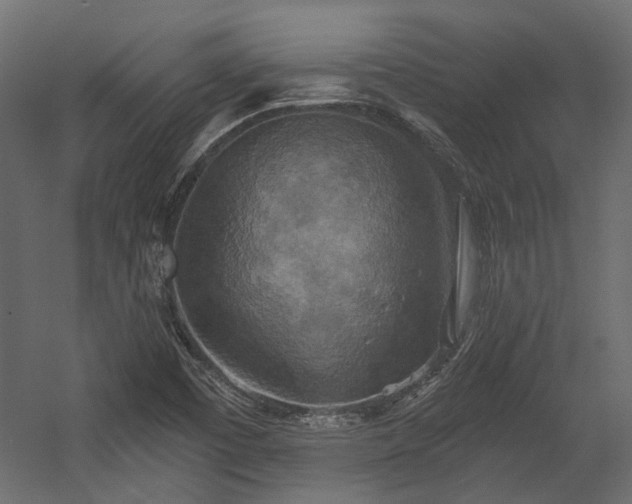 X0000058801457200510031307