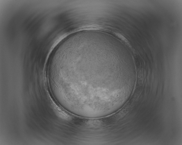 X0000058801466200510031307