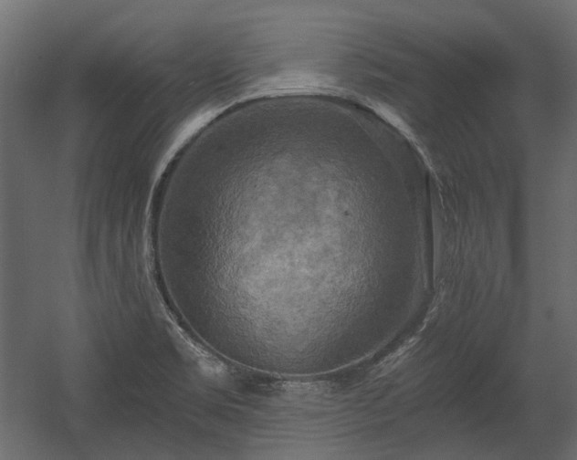 X0000058801469200510031307