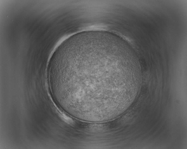 X0000058801470200510031307