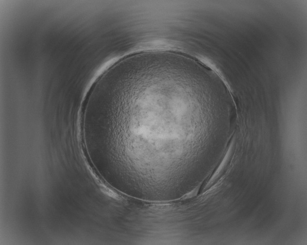 X0000058801477200510031307