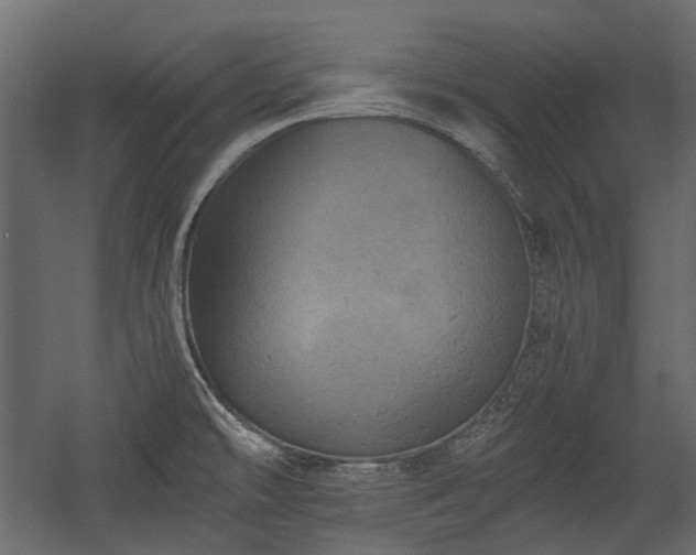 X0000058801478200510031307