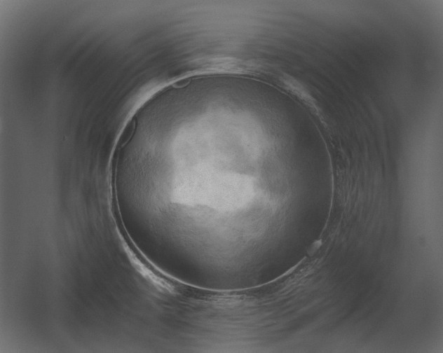 X0000058801479200510031307