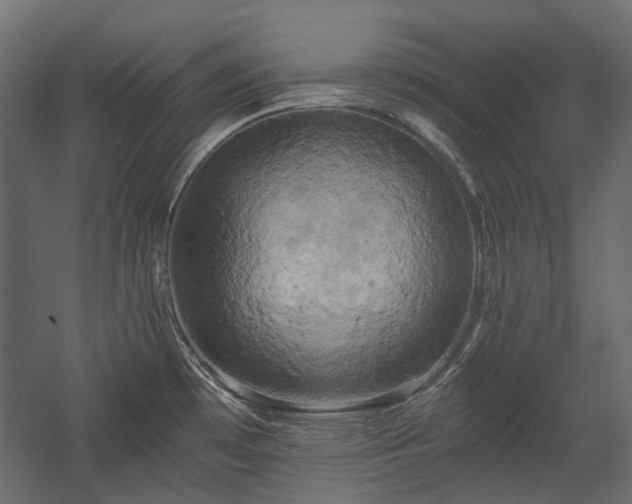 X0000058801481200510031307