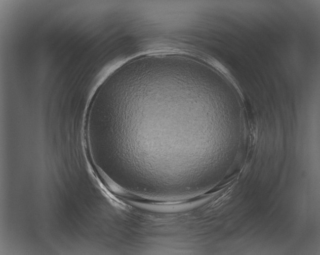 X0000058801485200510031307