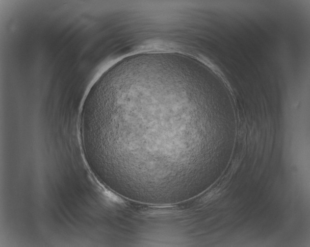 X0000058801486200510031307