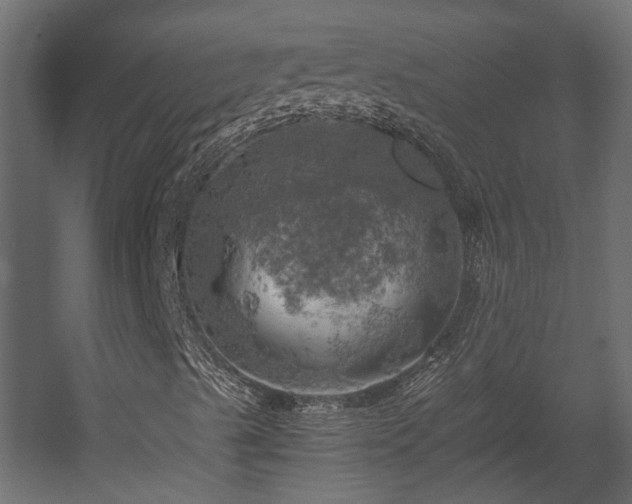 X0000058801489200510031306