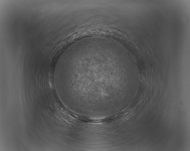 X0000058801490200510031306