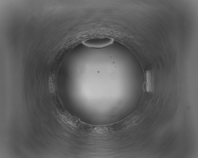 X0000058801491200510031306