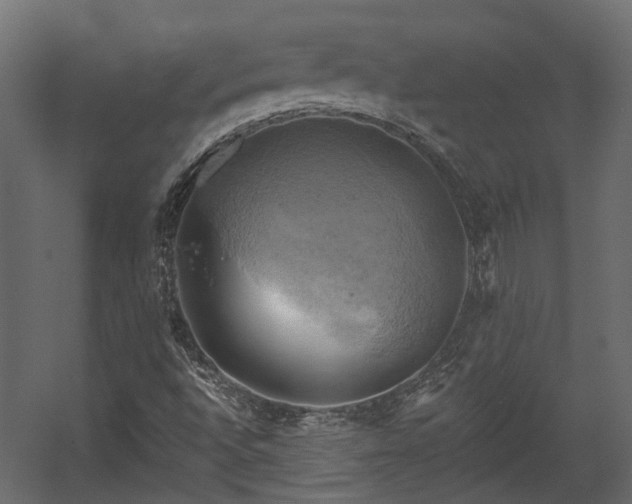 X0000058801496200510031306