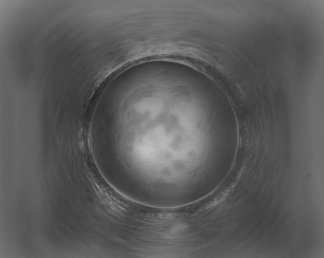X0000058801497200510031306