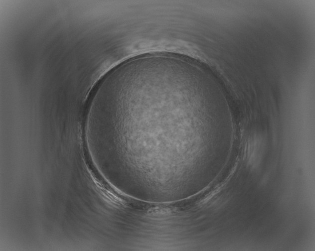 X0000058801505200510031306