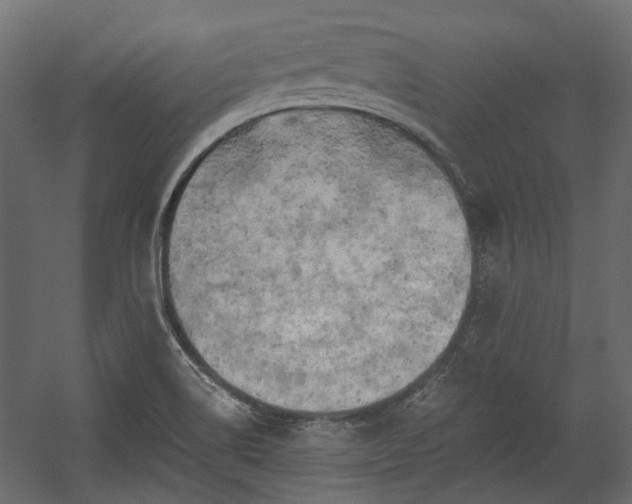 X0000058801514200510031306