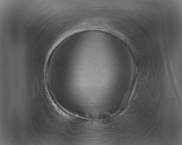 X0000058801520200510031306
