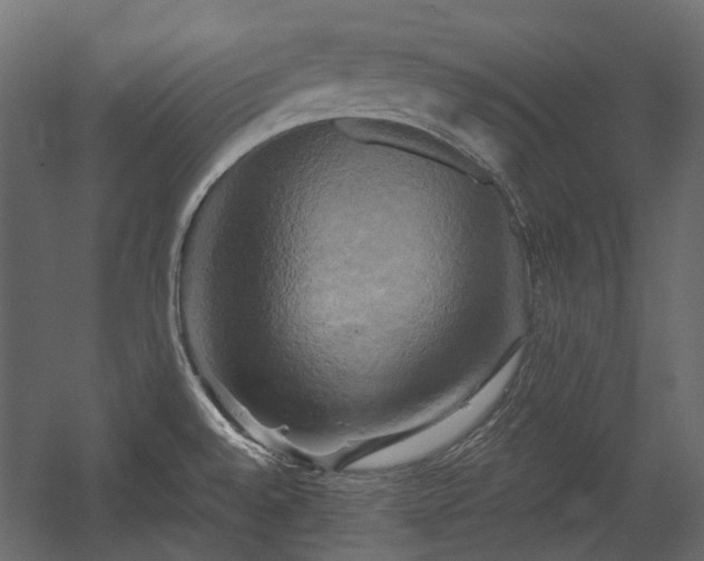 X0000058801528200510031306