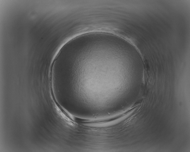 X0000058801532200510031306