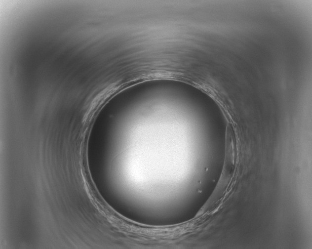 X0000058800001200510071714