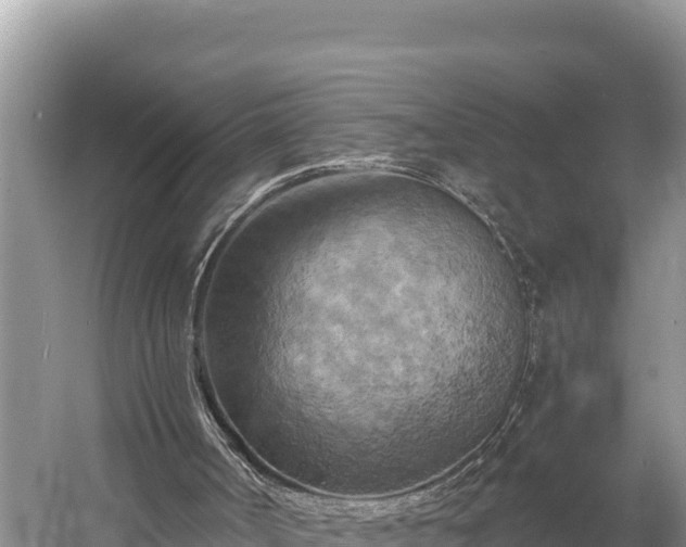 X0000058800002200510071714