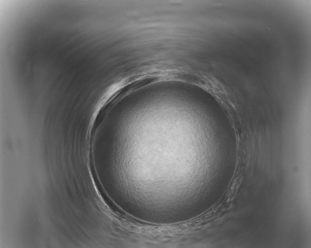 X0000058800003200510071714