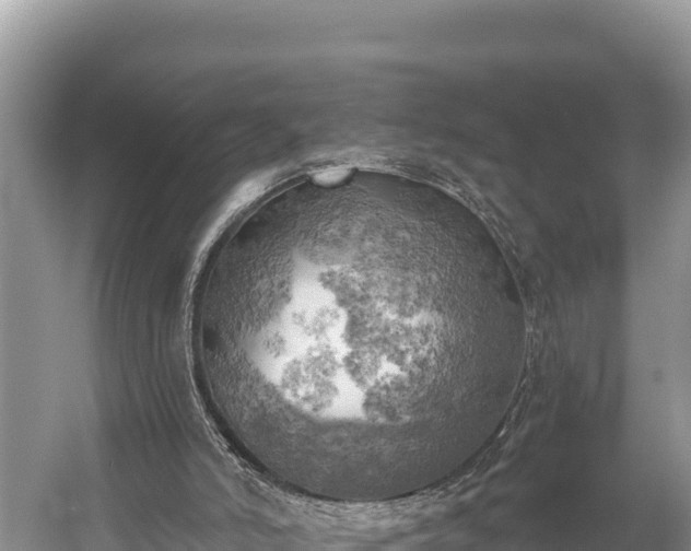 X0000058800006200510071714