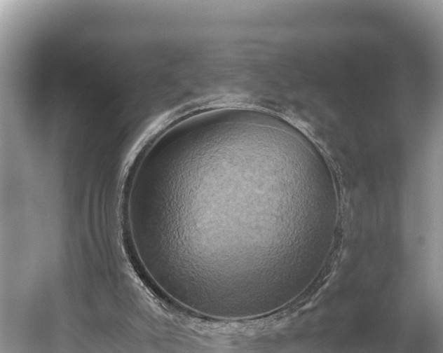 X0000058800007200510071714