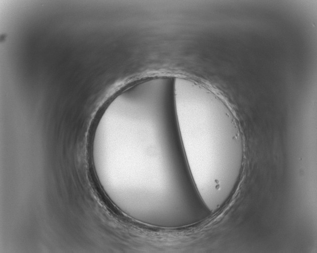 X0000058800008200510071714